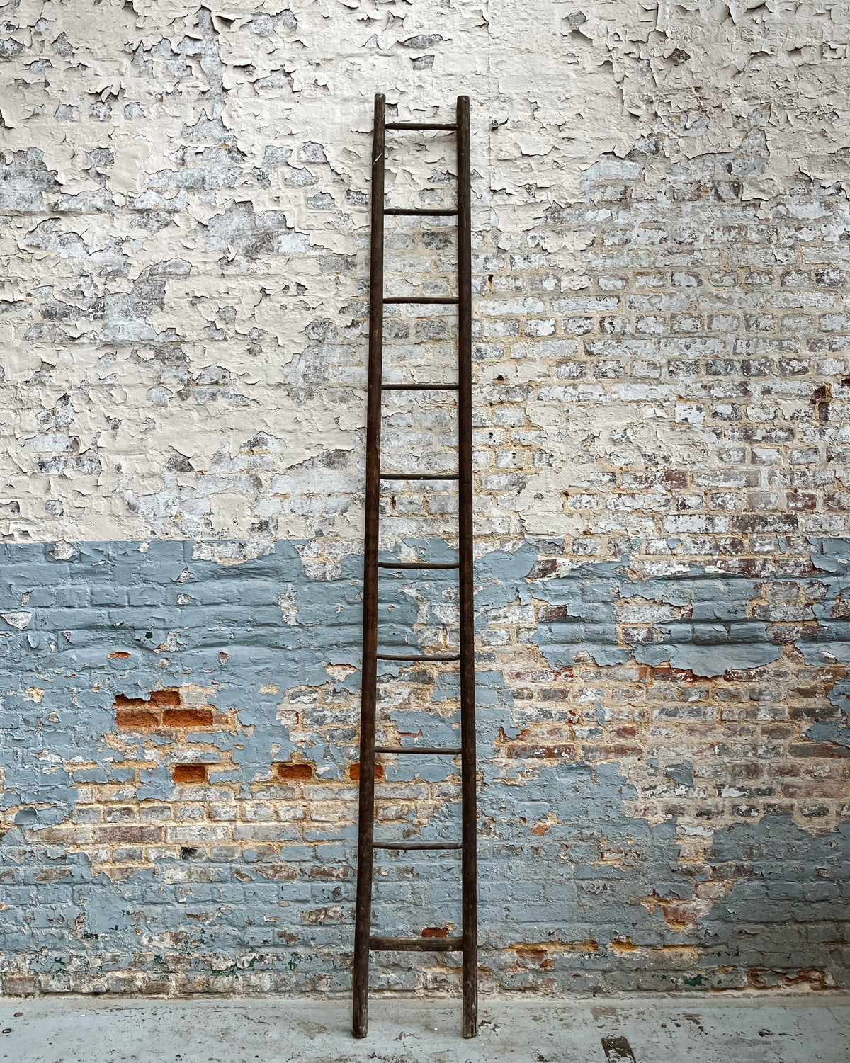 Beech ladder– Réjane Brocante