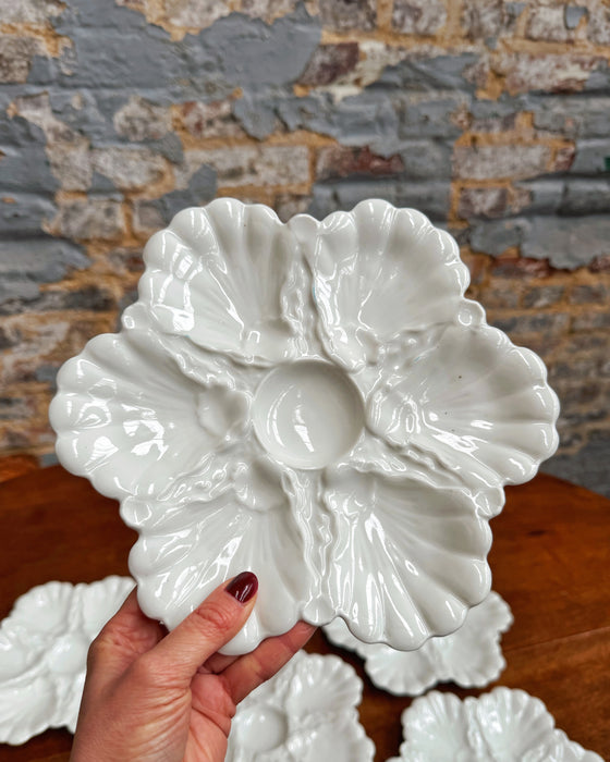 6 assiettes à huîtres