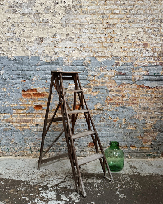 Beech stepladder