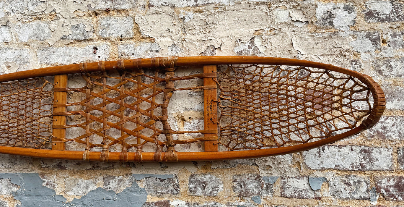 Paire de raquettes
