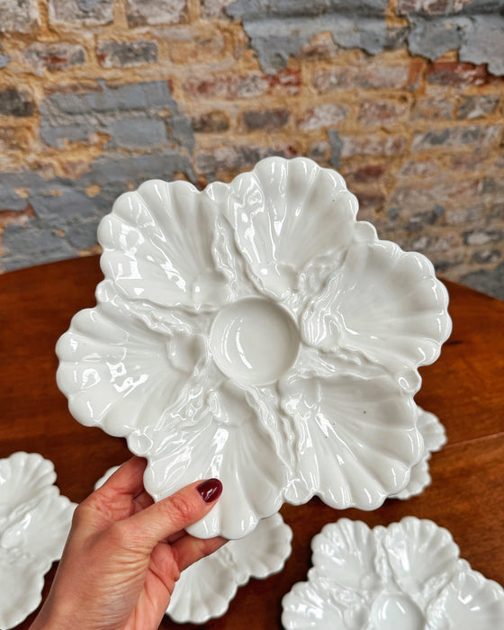 6 assiettes à huîtres