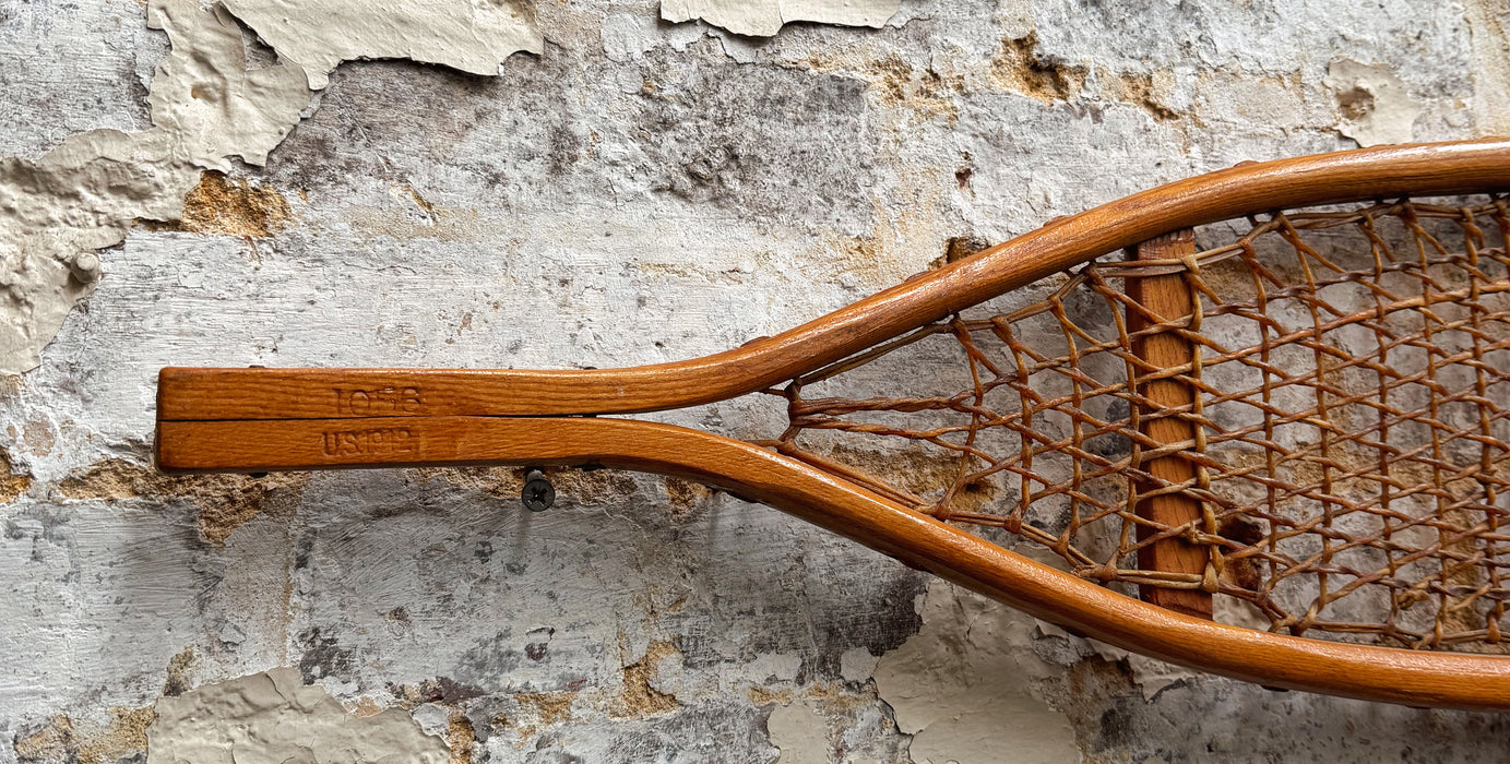 Paire de raquettes