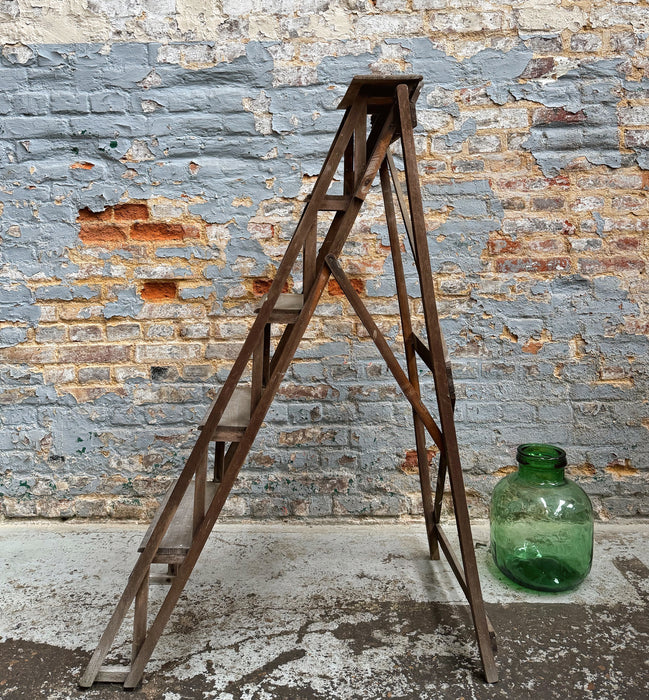 Beech stepladder