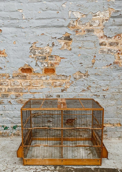 Cage à oiseaux