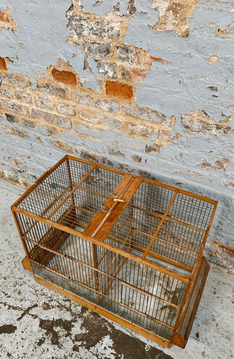 Cage à oiseaux